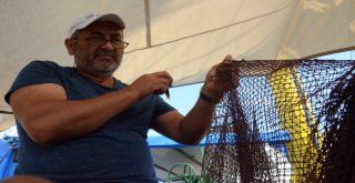 Karadenizli Balıkçılarda Sezon Heyecanı