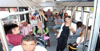 Hobi Bahçelerine Kolay Ulaşım