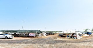 Kepez Kurban Bayramına Hazır