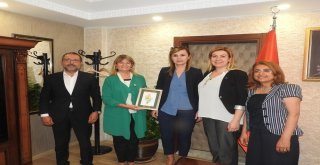 Burkafed Heyetinden Kaymakam Uçara Ziyaret