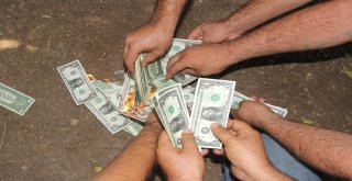 Adanalılar İphonu Boykot Etti, Dolar Yaktı