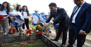 Bakan Kurum: “Şehrin Siluetine Zarar Veren Projelere Gereken Yapılacak”