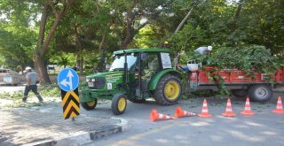 Şehzadelerde Kış Hazırlıkları Başladı