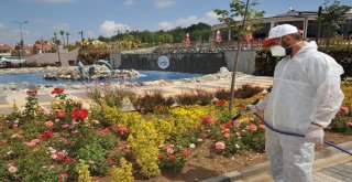 Bozüyükte Parklar Her Daim Yeşil