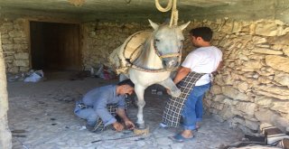 Nalcılık Kaybolmaya Yüz Tuttu