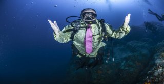 (Özel) Kravatlı Dalgıçlardan Mercan Avı