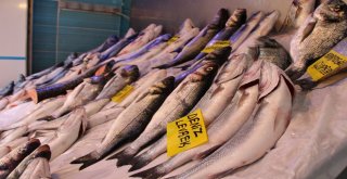 Eskişehirde Balıklar Tezgaha İndi