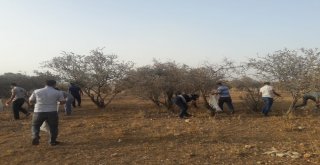 Kahtalı Vatandaşlar Mesire Alanını Temizledi