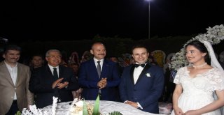 Bakan Soylu, Düzcede Nikah Şahidi Oldu