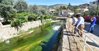 İstasyon Dalakderesinde Temizlik Ve Islah Çalışması