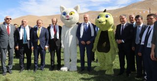 Ulusal Yağlı Güreş Festivali Başladı