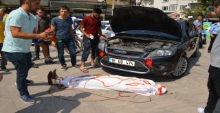 Cesetli Sergi Ürküttü