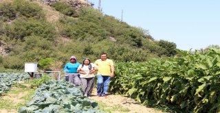 Ayağı Kayan Genç, 30 Metre Yükseklikten Kayalıklara Çakıldı