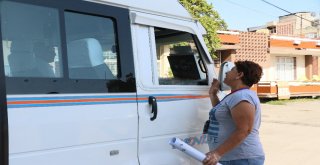 Mahallenin Fahri Trafik Polisi Ayşe Kaya Sokak Kedilerini Böyle Koruyor