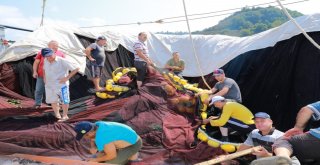 Fatsalı Balıkçılar ‘Vira Bismillah Demeye Hazır