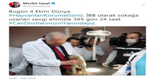 Mevlüt Uysal, Hayvanlar Günü Paylaşımıyla ‘Tt Oldu