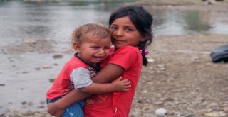 Fındık Toplamaya Gelen Mevsimlik Tarım İşçilerinin Zor Yaşam Şartları