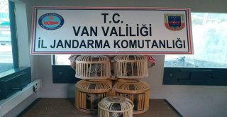 Vanda Kafes Avcılığı Yapan 2 Kişiye Para Cezası Verildi