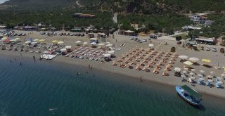 Global Alternatif Konaklama Servislerine Yerli Rakip