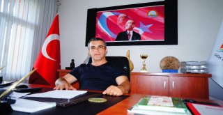 Manisada Koyun-Keçi Vebası Alarmı