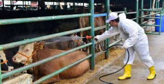 Kırklarelinde Kurban Satış Ve Kesim Yerleri Belirlendi