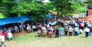 Minik Ömere Son Görev