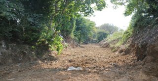 Balaban Deresi Islah Ediliyor