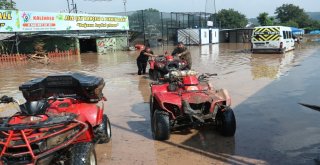 Selin Vurduğu Ballıkayalar Gündüz Görüntülendi