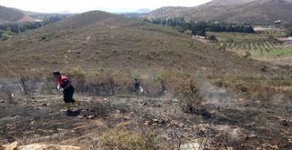 Bodrumda 6 Hektarlık Alan Kül Oldu