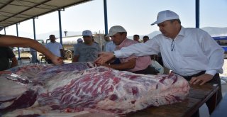 Yunusemreden 3 Bin İhtiyaç Sahibine Kurban Eti