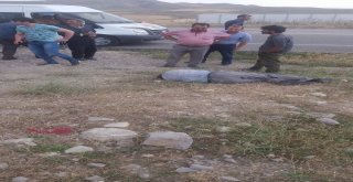 Ağrıda Kaza: 1 Ölü, 2 Yaralı
