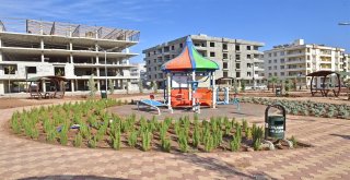 Ceylanpınarlılar Zeytin Dalı Parkına Kavuşuyor