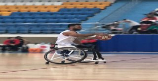 Engelsiz Ceylanlar, Yeni Sezon İçin Düğmeye Bastı