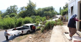 Büyükşehirden Konteyner Ev Ve Eşya Yardımı