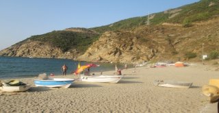 Ormanlıya Tatilci Akını