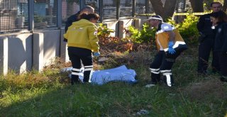 Trenin Çarptığı Genç Kız Hayatını Kaybetti