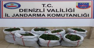 Jandarmadan 102 Kilo Dev Esrar Operasyonu