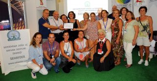 Sokak Hayvanları Can Yoldaşım Şenliğine Yoğun İlgi