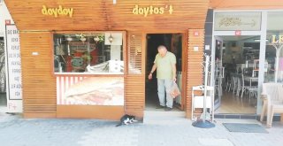 Anne Kedi, Her Gün Dönerciden Yavrularına Et Götürüyor