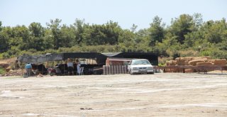 Manavgatta Kurban Pazarı Açıldı