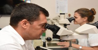 Ege Üniversitesi İlaç Araştırmalarında Da Dikkat Çekiyor