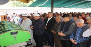 Toprak Ailesinin Acı Günü