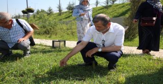 Ko-Mekten İstihdama Yönelik Yeni Branş