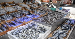 Tezgahlar Balık Çeşitleriyle Doldu