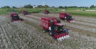 Antalyada Beyaz Altında Hasat Başladı