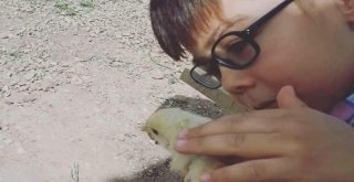 Minik Yürekler Sokak Hayvanlarına Sarıldı