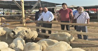 Çiğlide Kurban Bayramı Hazırlıkları Tamamlandı