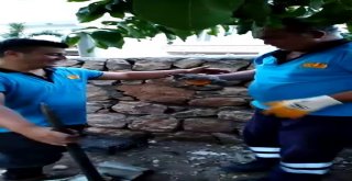 İki Duvar Arasına Sıkışan Yavru Kedi İtfaiye Ekiplerince Kurtarıldı