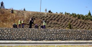 Adıyaman Girişinde Bakım Çalışmaları