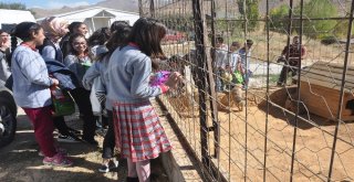 Bitlisin Büyük Yürekli Çocukları